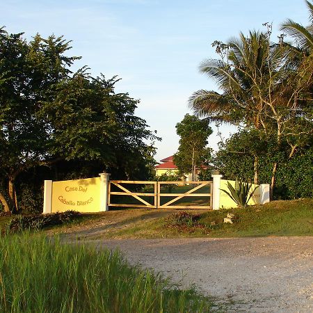 Casa Del Caballo Blanco Hotel San Ignacio Luaran gambar