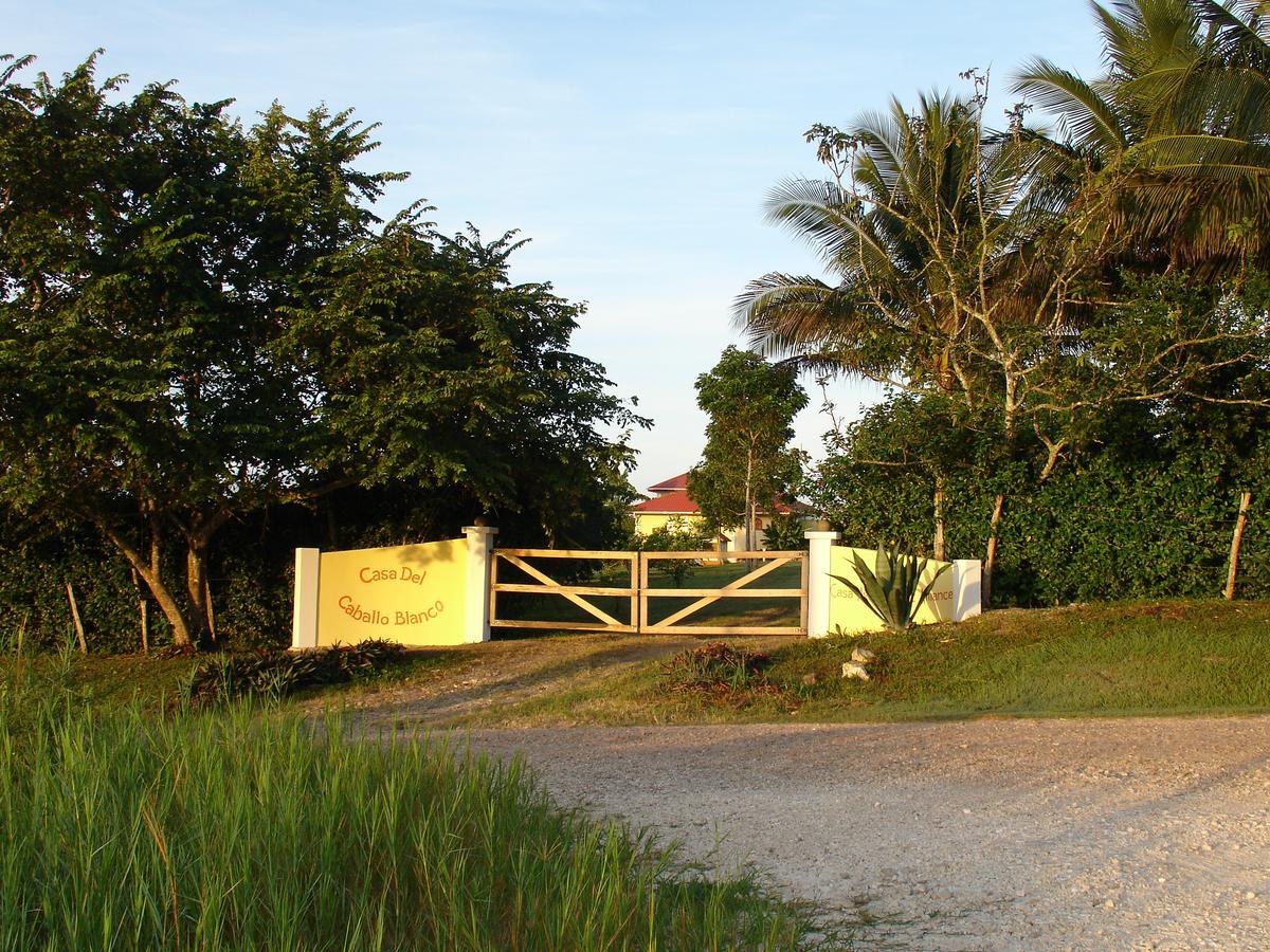 Casa Del Caballo Blanco Hotel San Ignacio Luaran gambar