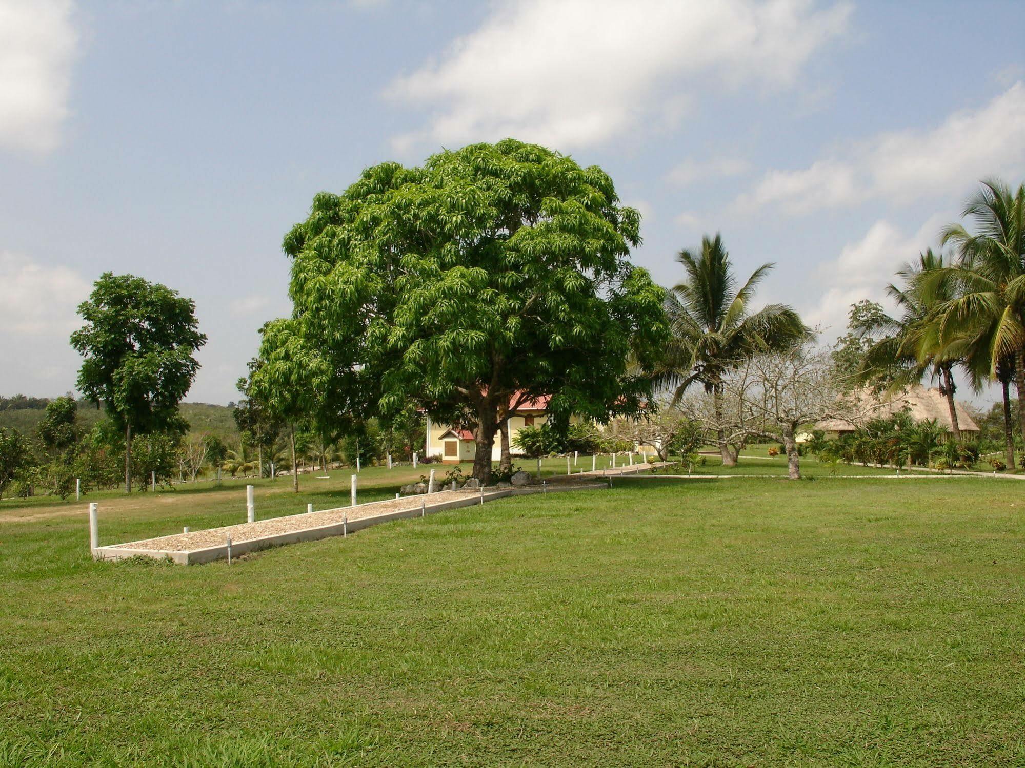 Casa Del Caballo Blanco Hotel San Ignacio Luaran gambar